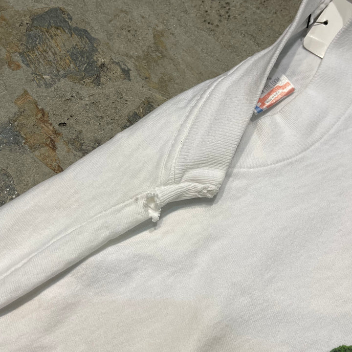 古着 USA製 95's フルーツオブザルーム/BUDWEISER/バドワイザー/企業系/ヴィンテージ シングルステッチプリントTシャツ/サイズL