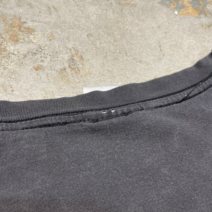 古着 USAVINtage / プロレス / WWE レッスルマニア21 / 2005.2.4RAW公演記念 / イベントTシャツ / サイズM