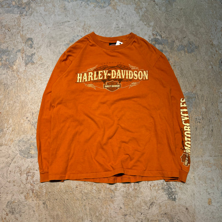 古着 Harley-Davidson/ハーレーダビッドソン/ プリントロングTシャツ/ サイズL