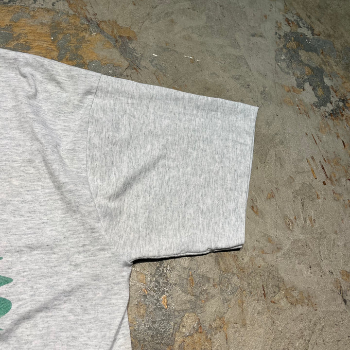 古着 90's フルーツオブザルーム/DUCK/鴨/アート/ヴィンテージ シングルステッチ プリントTシャツ/サイズL