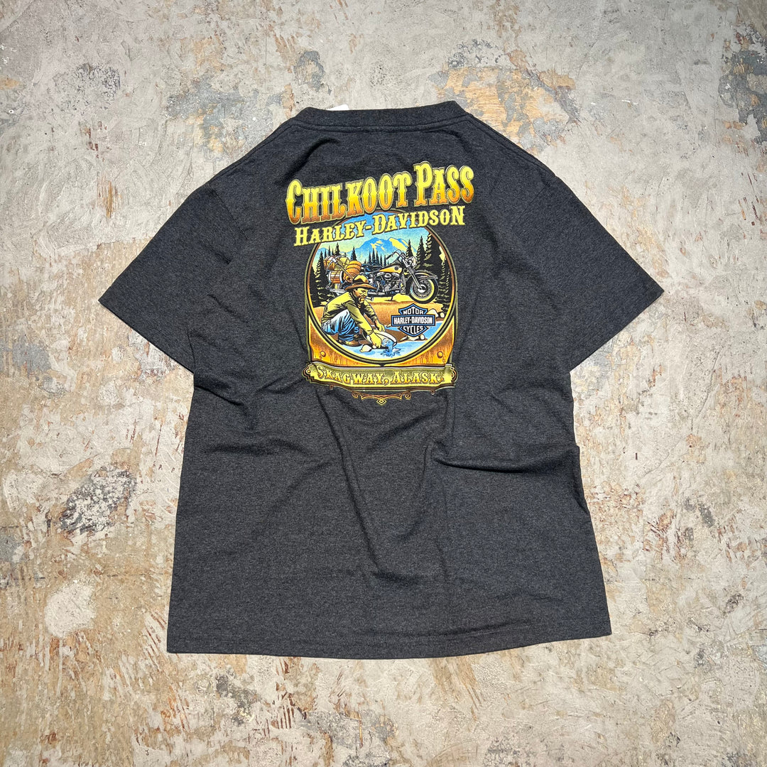 古着 Harley-Davidson  /ハーレー ダビッドソン / アラスカ州 スカグウェイ/ チルクートパス / 峠 / プリントTシャツ / サイズXL相当