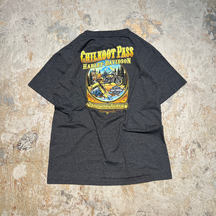 古着 Harley-Davidson  /ハーレー ダビッドソン / アラスカ州 スカグウェイ/ チルクートパス / 峠 / プリントTシャツ / サイズXL相当