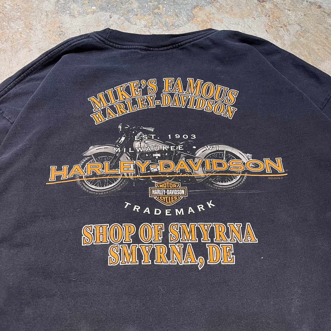 Used clothing Made in USA Harley-Davidson/Harley-Davidson/ Printed long T-shirt/ Size 2XL