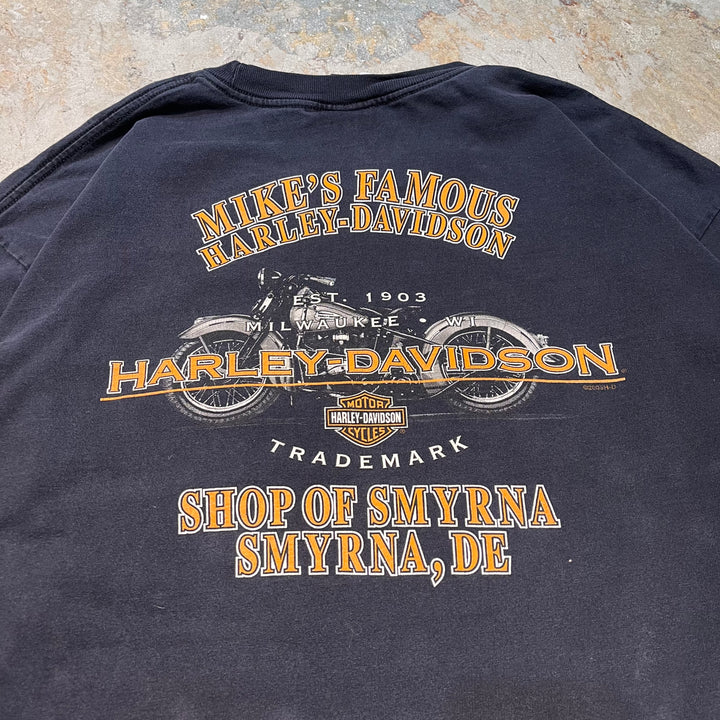 古着 USA製 Harley-Davidson/ハーレーダビッドソン/ プリントロングTシャツ/ サイズ2XL
