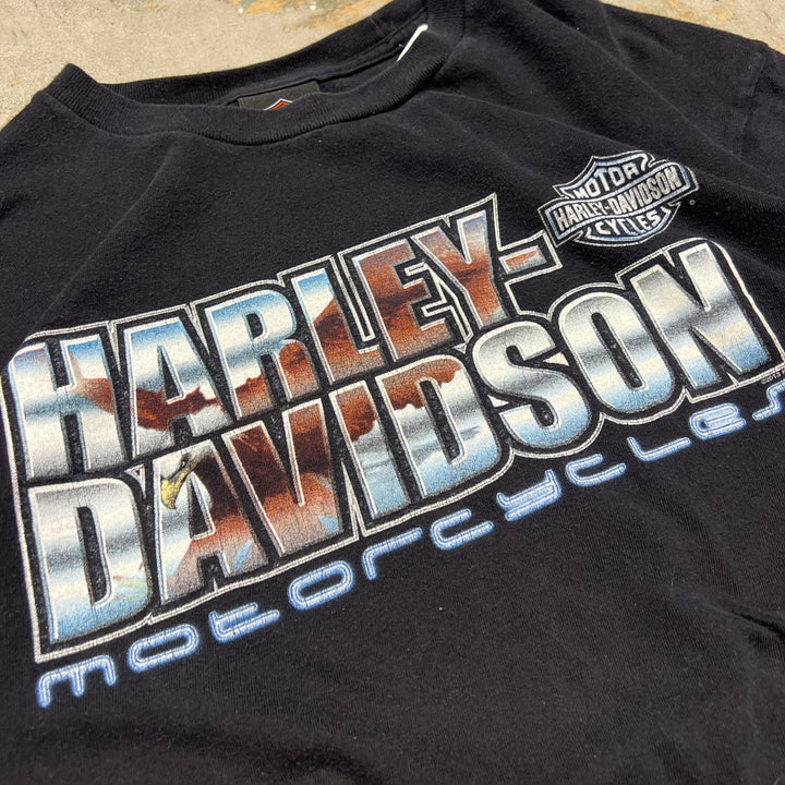 古着 Harley-Davidson  /ハーレー ダビッドソン / ノースカロライナ州 ナグス・ヘッド ストア / プリントTシャツ / サイズL