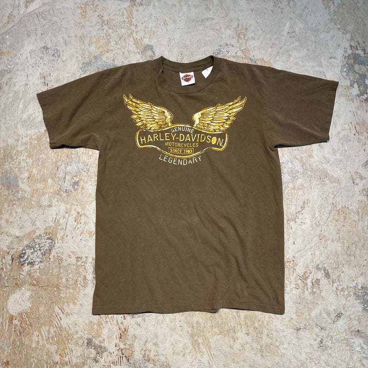古着 Harley-Davidson/ハーレーダビッドソン/ヒューストン/テキサス州/プリントTシャツ/サイズ2XL相当