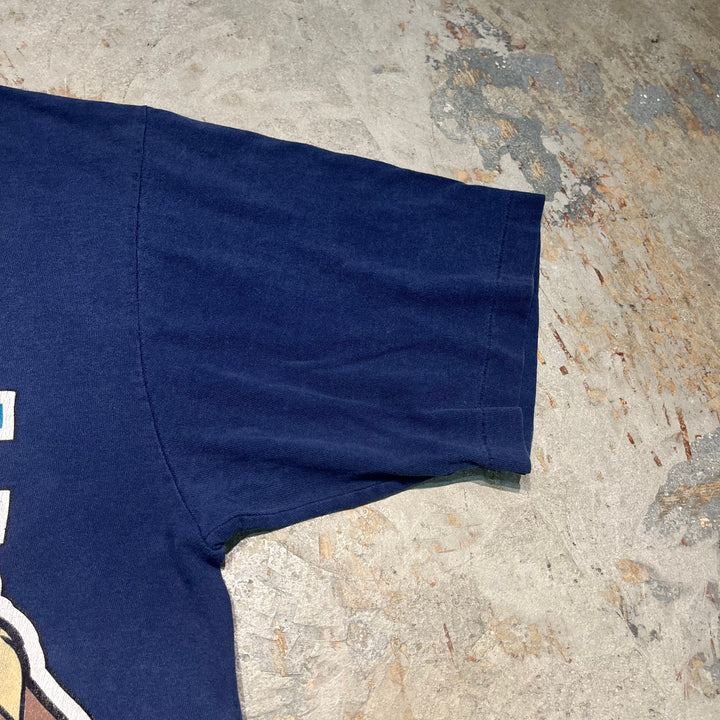 #4817 古着 95's ルーニー・テューンズ/ダズマニアン・デビル/WB/ヴィンテージ/Tシャツ/シングルステッチ/サイズ2XL相当