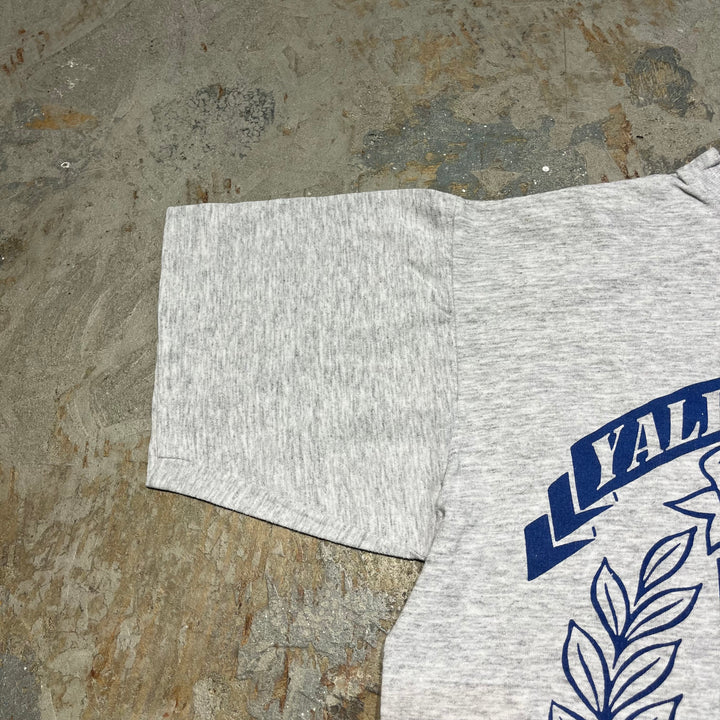 #4283 Unknow/short sleeve t-shirt Tee/シングルステッチ/半袖Tシャツ/71's/YALE/カレッジロゴ/スヌーピー/MADE IN USA/サイズM