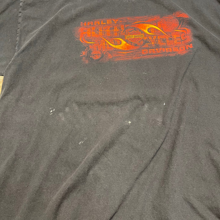 古着 Harley-Davidson/ハーレー ダビッドソン/ハミルトン/カナダ/プリントTシャツ/サイズ2XL