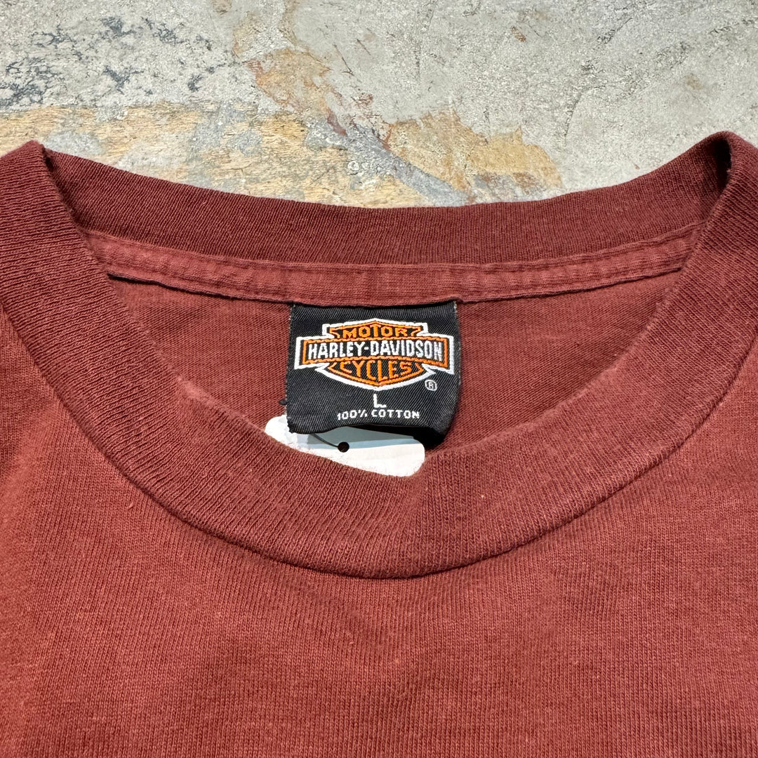Used clothing Made in USA Harley-Davidson/Harley-Davidson/Printed T-shirt/PRESTONSBURG, KY/ Size L