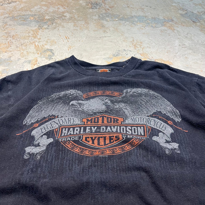 古着 Harley-Davidson/ハーレー ダビッドソン / アラスカ州 オーランド ストア / プリントTシャツ / サイズL