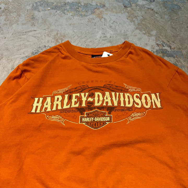 古着 Harley-Davidson/ハーレーダビッドソン/ プリントロングTシャツ/ サイズL