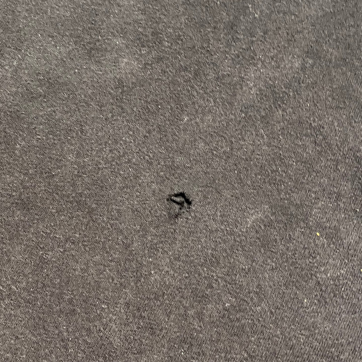 古着 Harley-Davidson/ハーレー ダビッドソン / アラスカ州 オーランド ストア / プリントTシャツ / サイズL