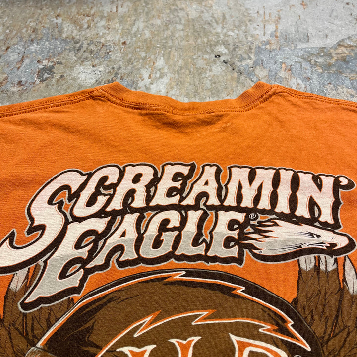 古着 Harley-Davidson/ハーレー ダビッドソン Screamin Eagle プリントTシャツ サイズXL相当