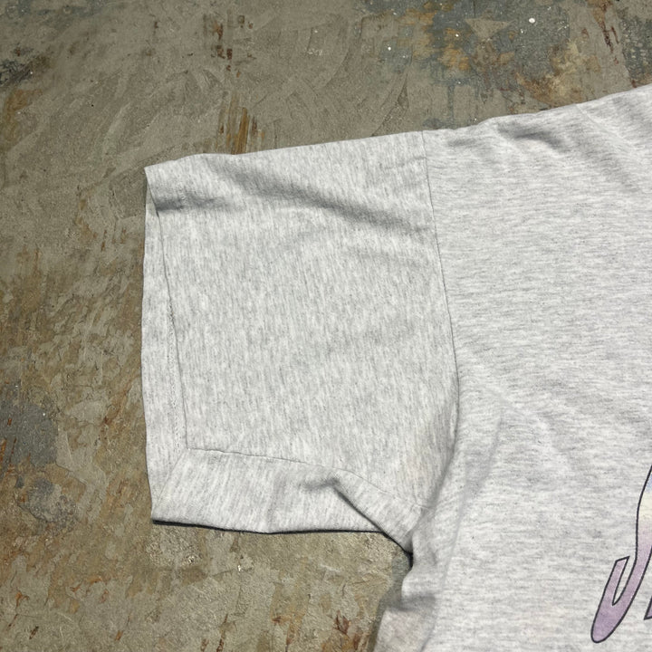 古着 USA製 91's STEEL PHANTOM/ギネス記録 最大かつ最速の落下/ケニーウッド/ヴィンテージ シングルステッチプリントTシャツ/サイズXL