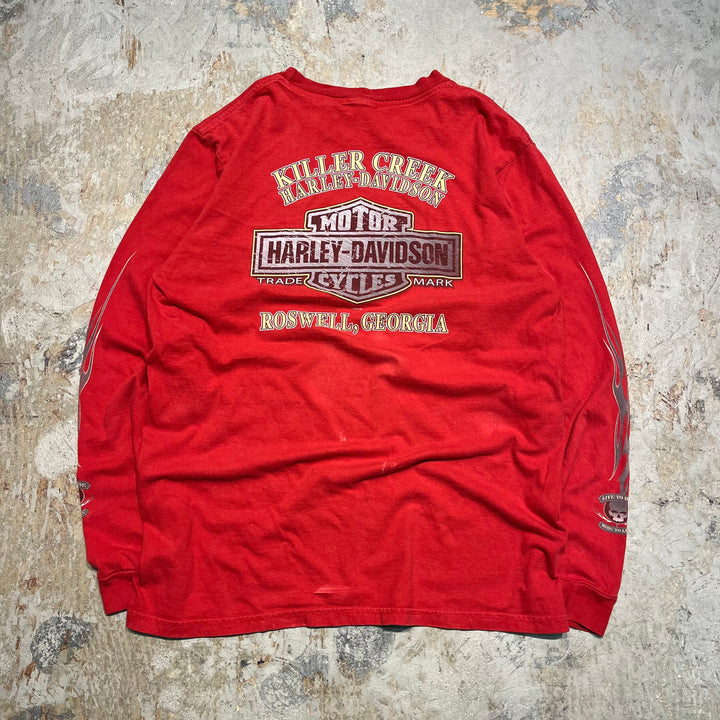 古着 Harley-Davidson/ハーレー ダビッドソン ジョージア州 ロズウェル キラー・クリーク店 プリントTシャツ サイズXL相当