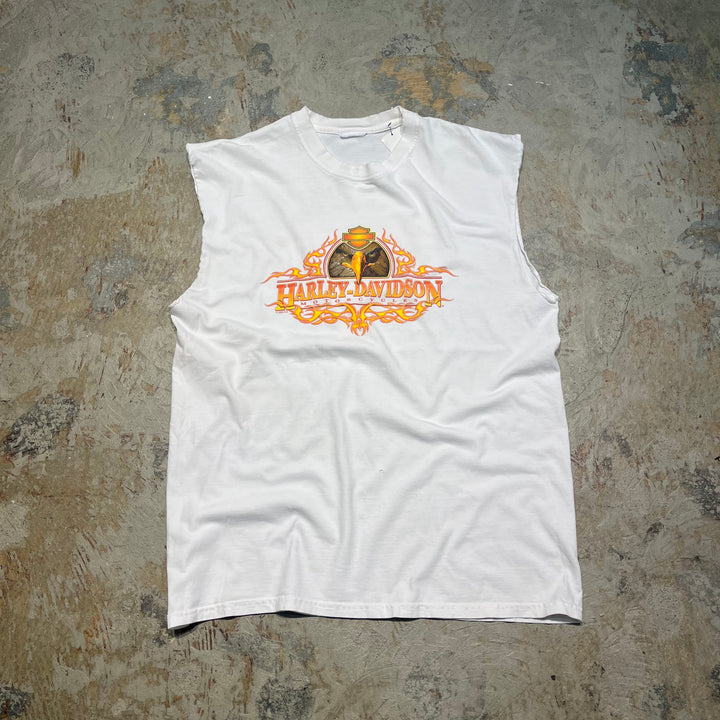 古着 Harley-Davidson/ハーレーダビッドソン/ロード・アイランド州/エクセター/プリントTシャツ/サイズXL相当