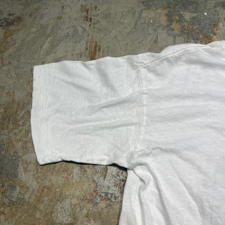 중고 의류 ukiyo-e/katsushika hokusai/일본 패턴/빈티지 싱글 스티치 인쇄 티셔츠/크기 L-XL에 해당합니다.