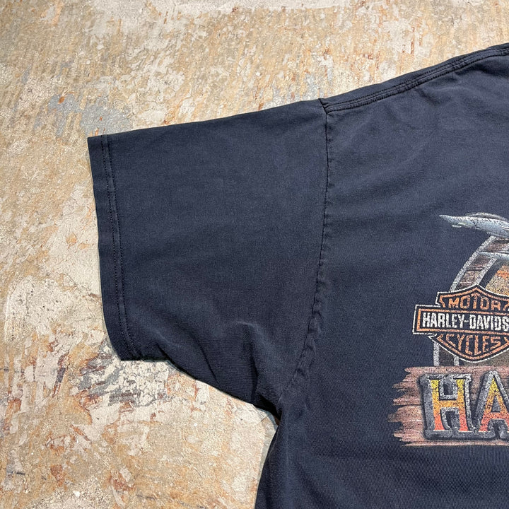 古着 Harley-Davidson/ハーレー ダビッドソン バージニア・ビーチ プリントTシャツ サイズXL