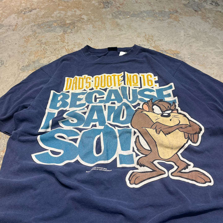 #4817 古着 95's ルーニー・テューンズ/ダズマニアン・デビル/WB/ヴィンテージ/Tシャツ/シングルステッチ/サイズ2XL相当