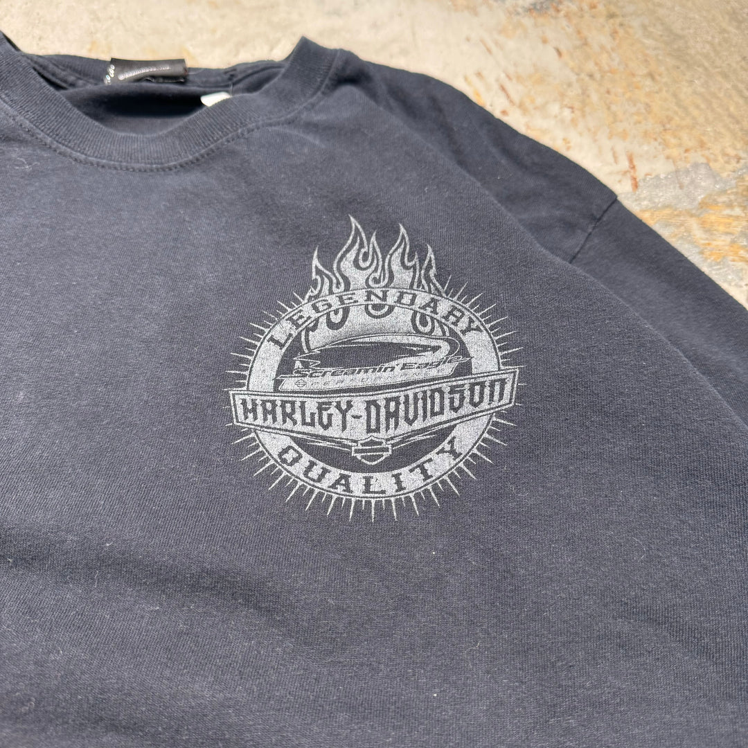 Used clothing HARLEY-DAVIDSON/ Harley Davidson/Long T/ Equivalent to size L-XL