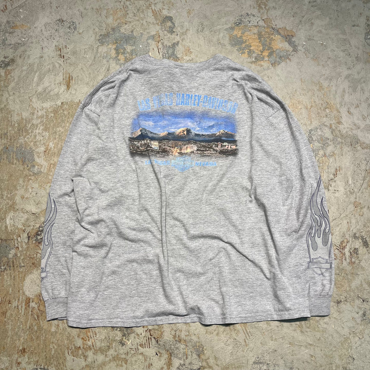 古着 Harley-Davidson/ハーレー ダビッドソン/ラスベガス/ネバダ州/プリントロングTシャツ サイズXXL