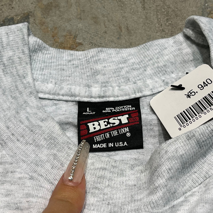 古着 90's フルーツオブザルーム/DUCK/鴨/アート/ヴィンテージ シングルステッチ プリントTシャツ/サイズL