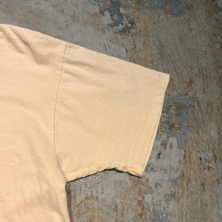 古着 USA製 アヴァロン 伝説の島/ニュー・ジャージー州/ヴィンテージ シングルステッチ プリントTシャツ / サイズXL