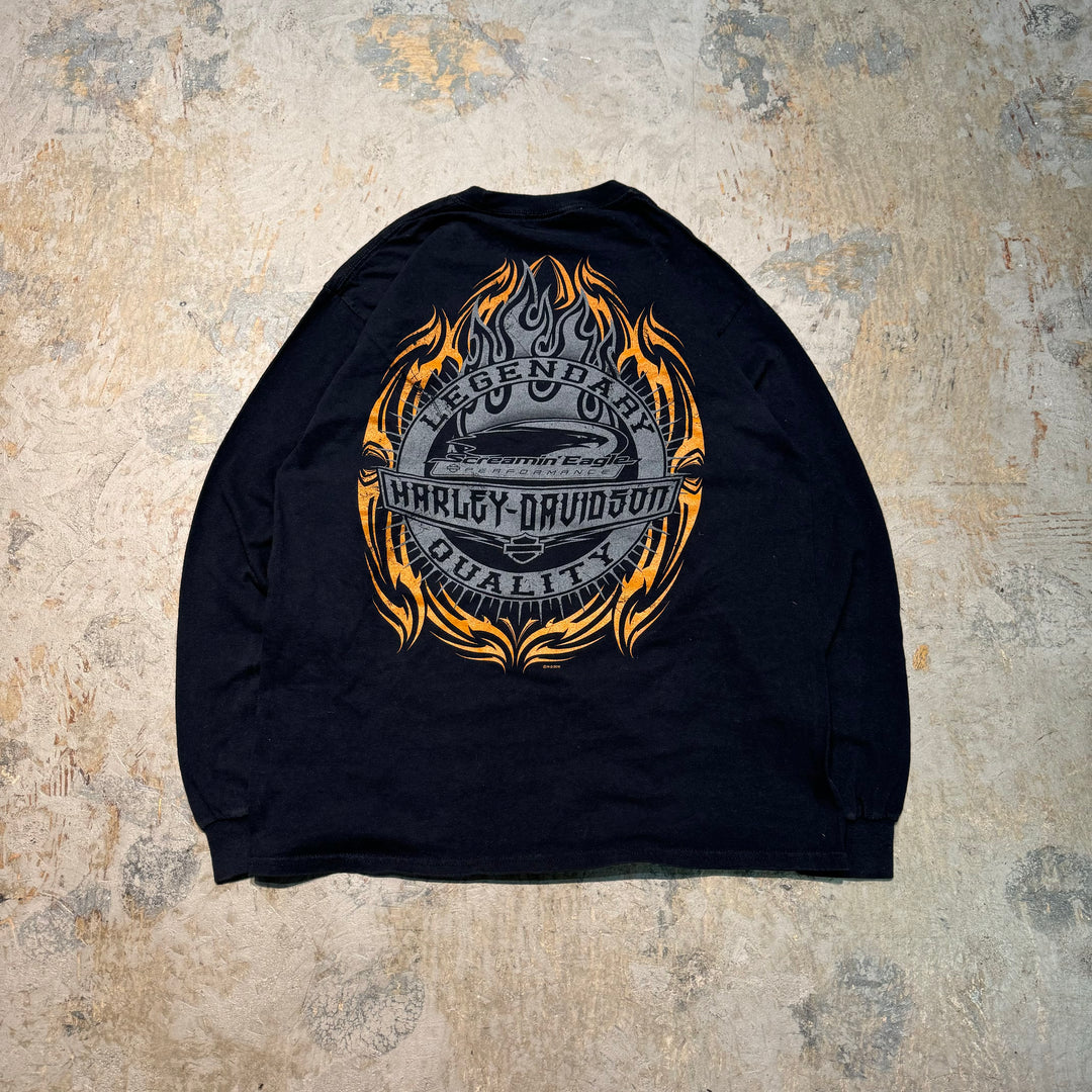 Used clothing HARLEY-DAVIDSON/ Harley Davidson/Long T/ Equivalent to size L-XL