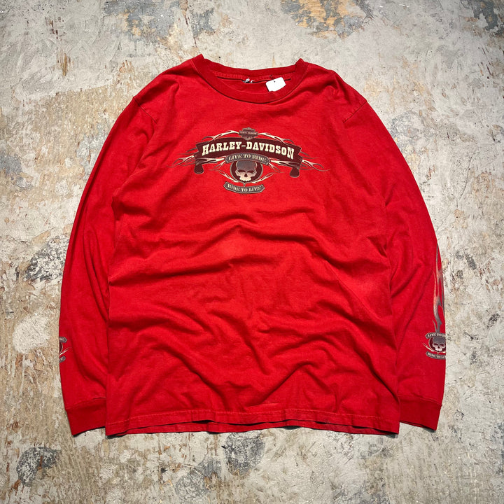 古着 Harley-Davidson/ハーレー ダビッドソン ジョージア州 ロズウェル キラー・クリーク店 プリントTシャツ サイズXL相当