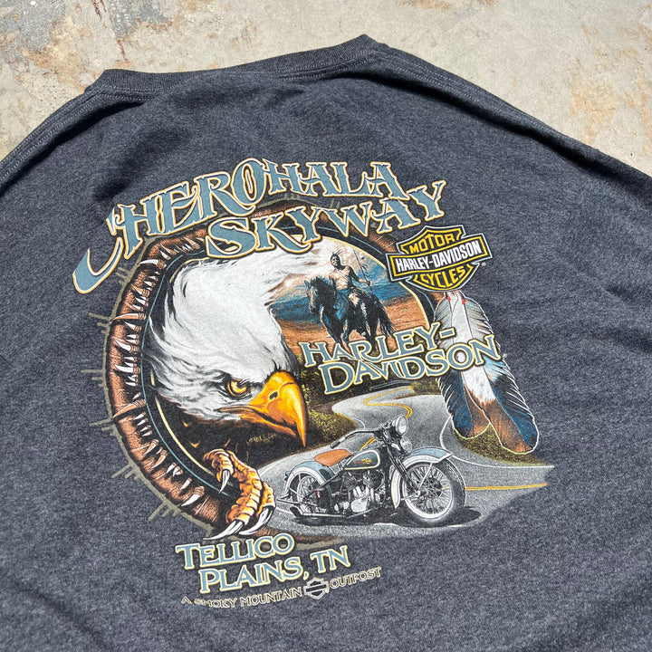 古着 Harley-Davidson  /ハーレー ダビッドソン / A SMOKY MOUNTAIN OUTPOST / テネシー州 モンロー郡 テリコ・プレインズ ストア / チェロハラ・スカイウェイ / ロングTシャツ / サイズXL相当