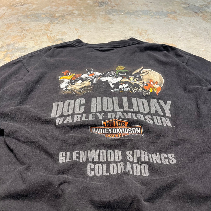 古着 Harley-Davidson/ハーレー ダビッドソン / ワーナーブラザーズ / コロラド州 グレンウッド・スプリングス ストア  / プリントTシャツ / サイズL相当