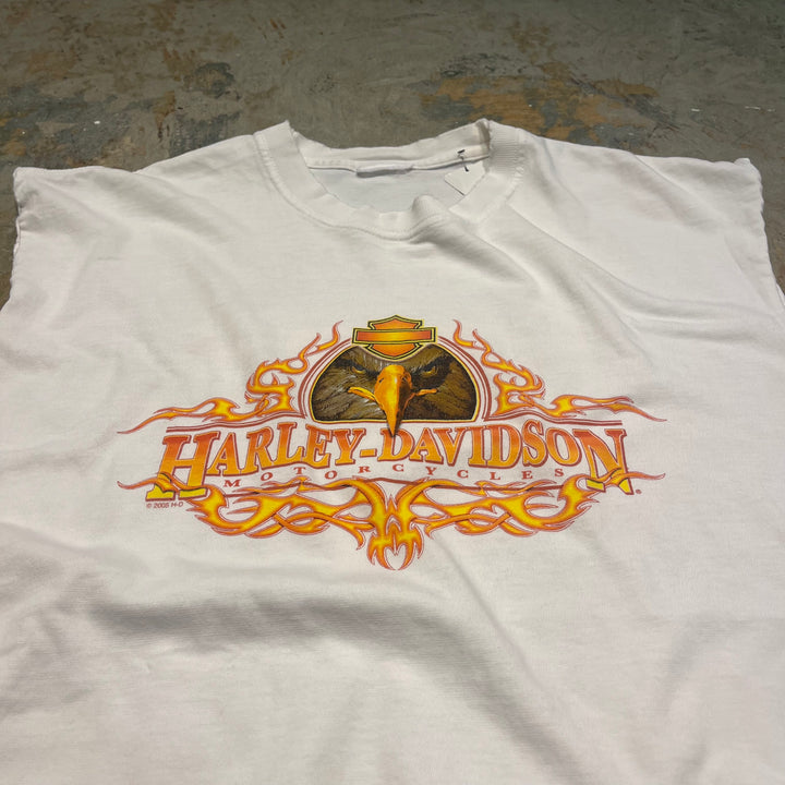 古着 Harley-Davidson/ハーレーダビッドソン/ロード・アイランド州/エクセター/プリントTシャツ/サイズXL相当