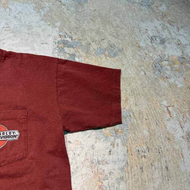 古着 USA製 Harley-Davidson/ハーレーダビッドソン/ プリントTシャツ / PRESTONSBURG, KY/ サイズL