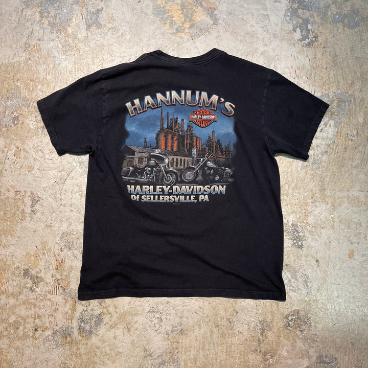 古着 USA製 Harley-Davidson/ハーレーダビッドソン/ プリントTシャツ/ サイズL