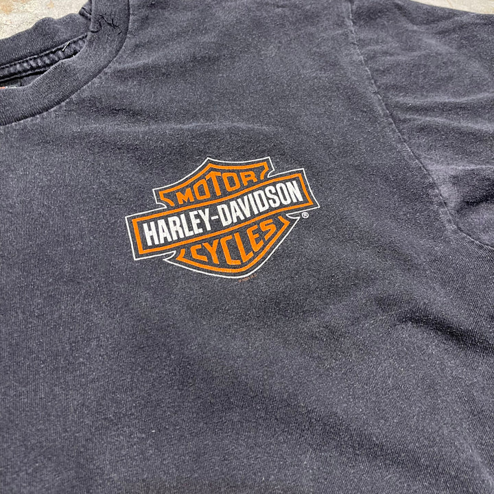 古着 USA製 Harley-Davidson/ハーレー ダビッドソン / フロリダ州パナマ・シティ・ビーチ ストア/ プリントTシャツ / サイズL相当