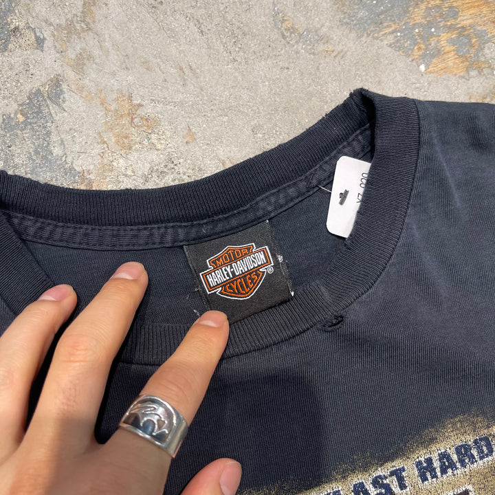 古着 Harley-Davidson/ハーレーダビッドソン/ミネソタ州ウィノナ/プリントTシャツ/サイズL相当