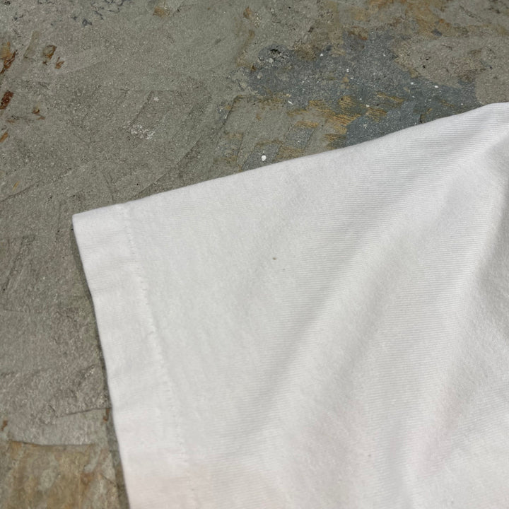 古着 90's Hanes/ヘインズ / ポワタン・アロー N&W 611号流線形蒸気機関車 / 旅客列車 / ヴィンテージ シングルステッチ プリントTシャツ / サイズL