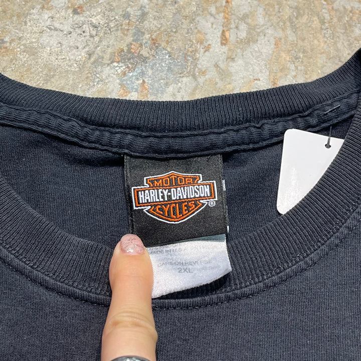 古着 USA製 Harley-Davidson/ハーレー ダビッドソン/hawkeye/LIVE TO RIDE/ワールドクラス モーターサイクルズ/プリントTシャツ サイズXXL