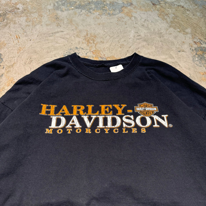 古着 Harley-Davidson/ハーレーダビッドソン/ プリントロングTシャツ/ サイズ2XL相当