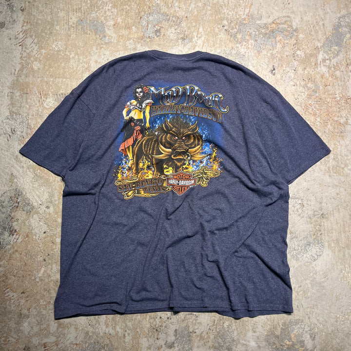 古着 Harley-Davidson/ハーレー ダビッドソン テキサス州 サン・ベニート /マッド ボア レストラン / プリントTシャツ サイズXXXL
