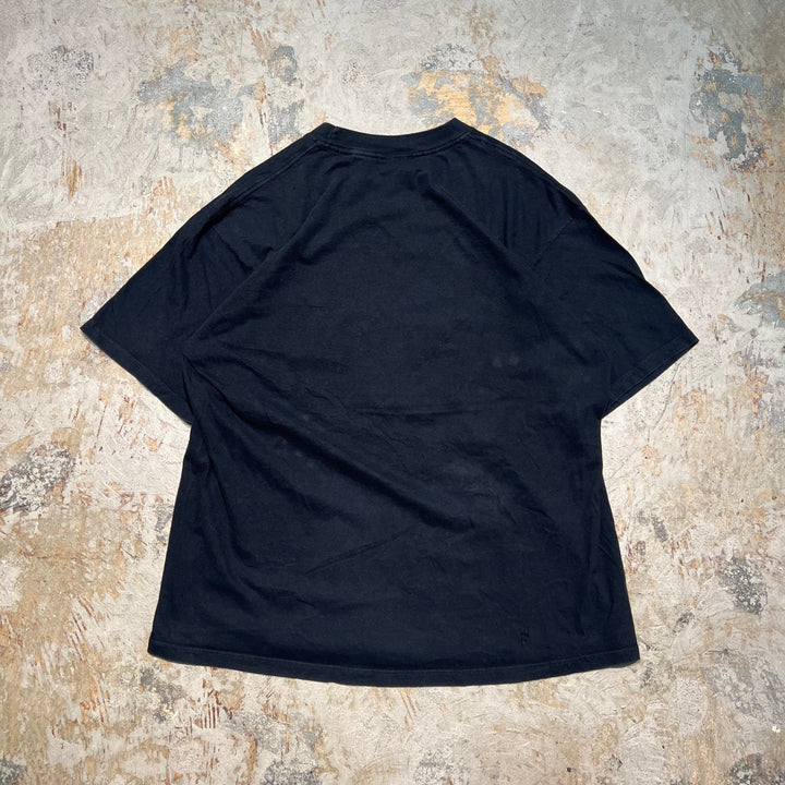 古着 ワーナーブラザーズ/ルーニー・テューンズ/トゥイーティー/DON'T PANIC!/ヴィンテージ シングルステッチ プリントTシャツ/サイズL-XL相当