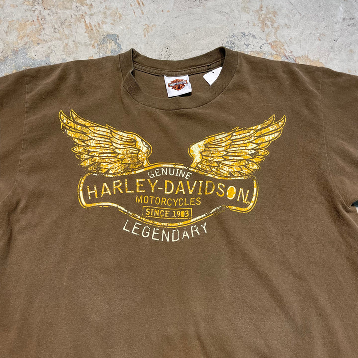 古着 Harley-Davidson/ハーレーダビッドソン/ヒューストン/テキサス州/プリントTシャツ/サイズ2XL相当