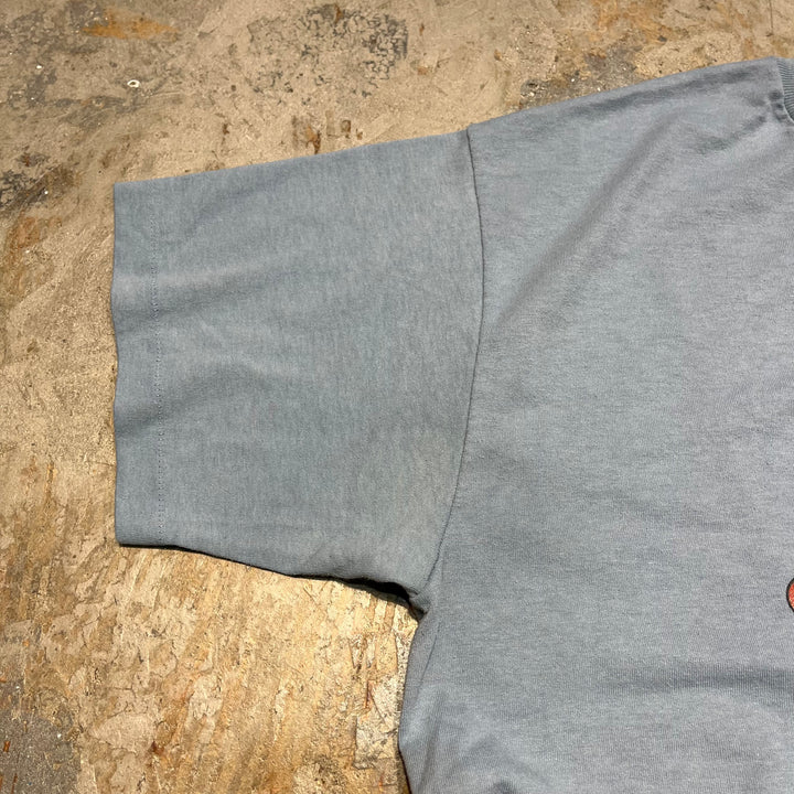 古着 USA製 90's~ ヘインズ/CAMP CHAWANAKEE/キャンプ・チャワナキー 1995/児童キャンプ/シェイバーレイク/企業系/ヴィンテージ シングルステッチ Tシャツ/サイズXL相当