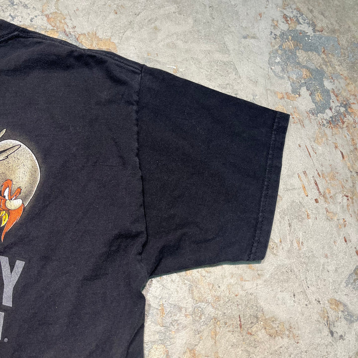 古着 Harley-Davidson/ハーレー ダビッドソン / ワーナーブラザーズ / コロラド州 グレンウッド・スプリングス ストア  / プリントTシャツ / サイズL相当