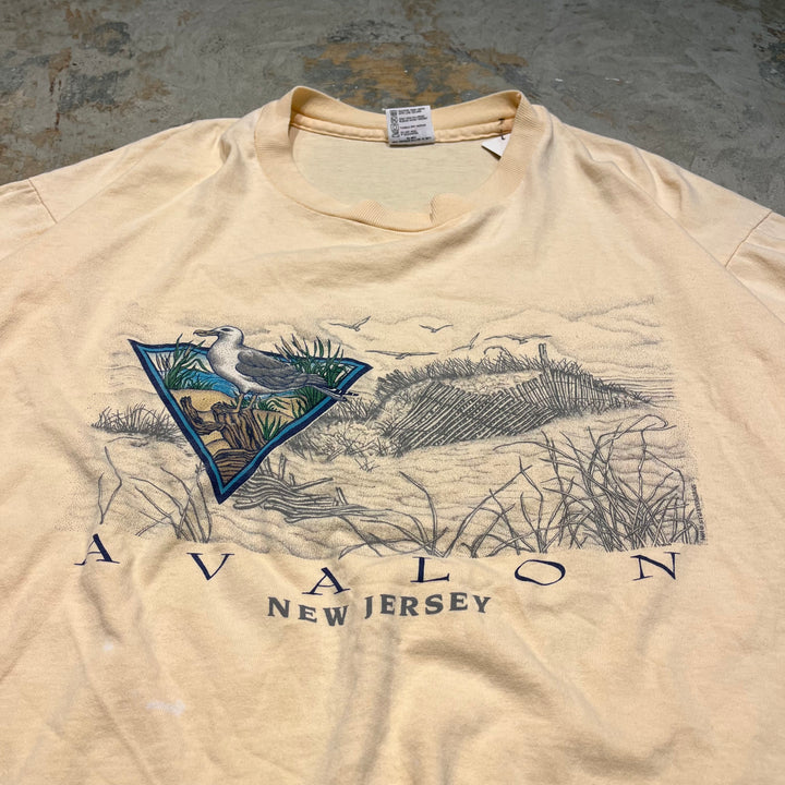 古着 USA製 アヴァロン 伝説の島/ニュー・ジャージー州/ヴィンテージ シングルステッチ プリントTシャツ / サイズXL