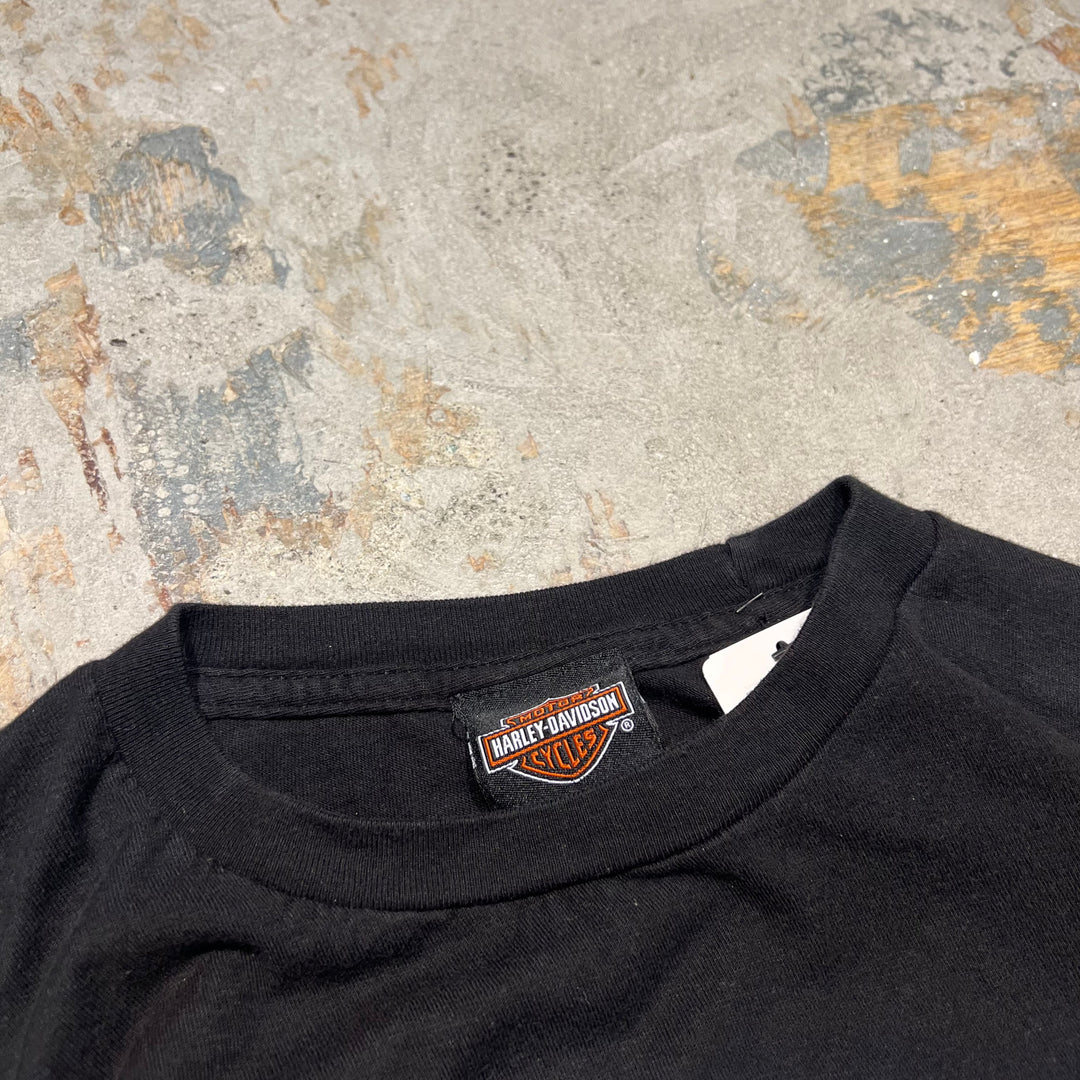 Used clothing Harley-Davidson / Harley Davidson / Bellevue Eastside Store, Washington / Printed T-shirt / Size L