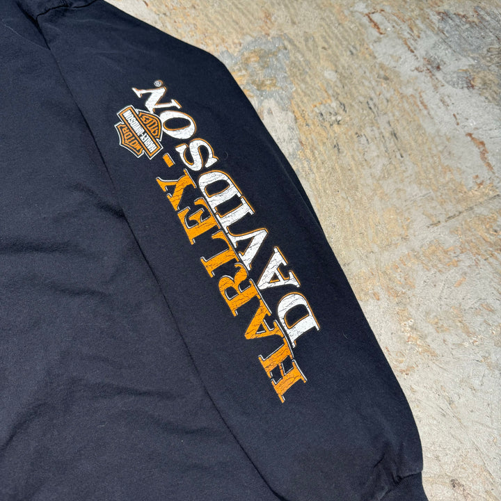 古着 Harley-Davidson/ハーレーダビッドソン/ プリントロングTシャツ/ サイズ2XL相当