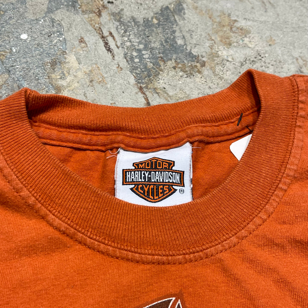 Used clothing Made in USA Harley-Davidson / Homa Store, Louisiana / Mike bruno's bayou country / Printed T-shirt / Size M