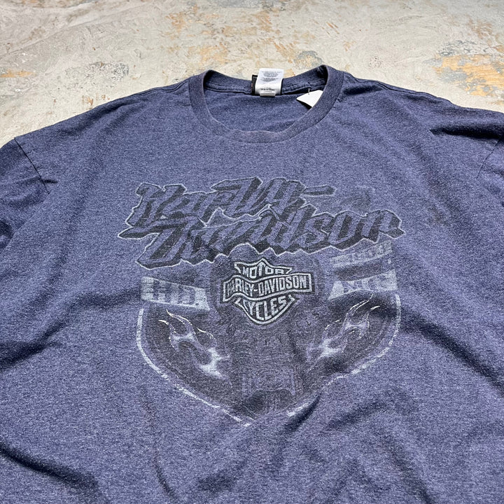 古着 Harley-Davidson/ハーレー ダビッドソン テキサス州 サン・ベニート /マッド ボア レストラン / プリントTシャツ サイズXXXL